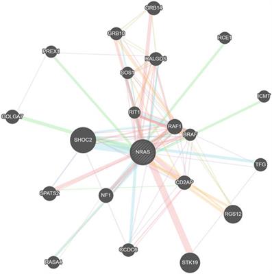 Computational Analysis of Deleterious SNPs in NRAS to Assess Their Potential Correlation With Carcinogenesis